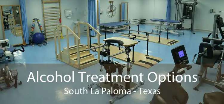 Alcohol Treatment Options South La Paloma - Texas