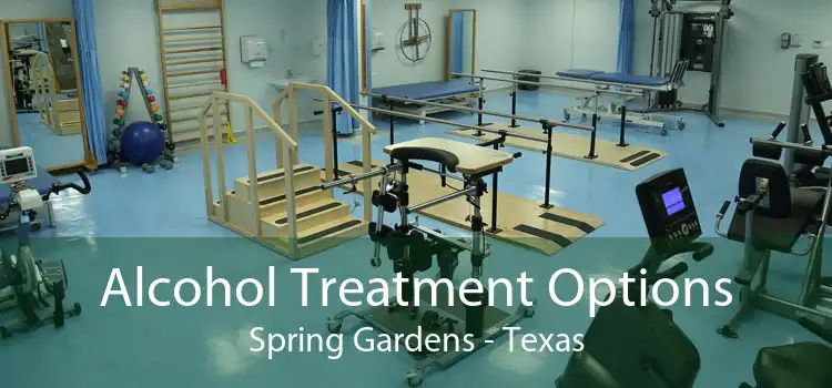 Alcohol Treatment Options Spring Gardens - Texas