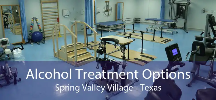 Alcohol Treatment Options Spring Valley Village - Texas