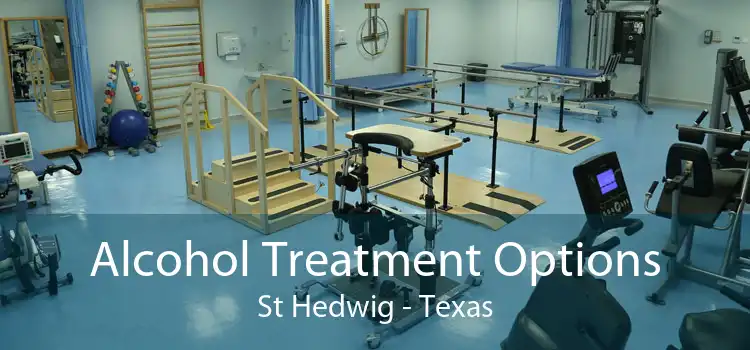 Alcohol Treatment Options St Hedwig - Texas