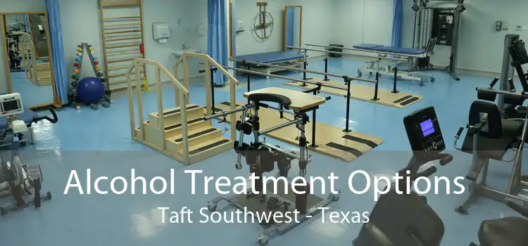 Alcohol Treatment Options Taft Southwest - Texas
