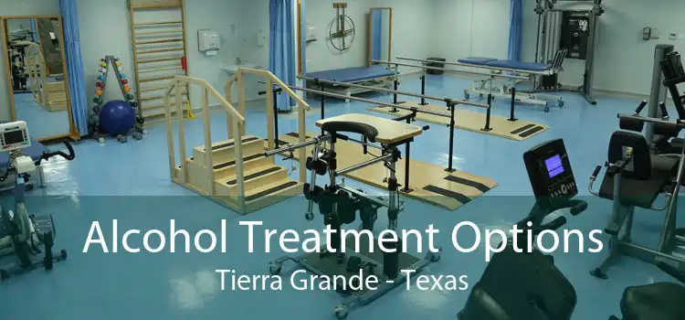 Alcohol Treatment Options Tierra Grande - Texas