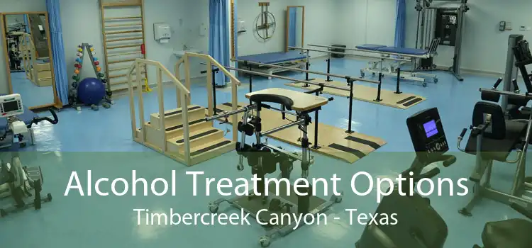 Alcohol Treatment Options Timbercreek Canyon - Texas