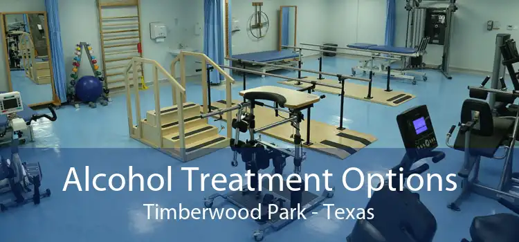 Alcohol Treatment Options Timberwood Park - Texas