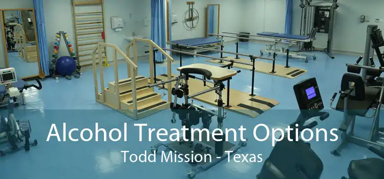 Alcohol Treatment Options Todd Mission - Texas