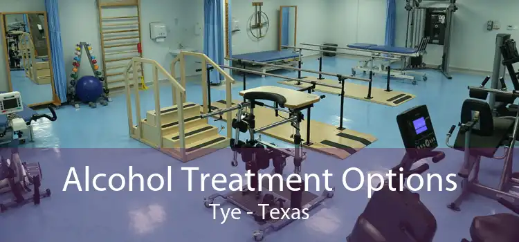 Alcohol Treatment Options Tye - Texas