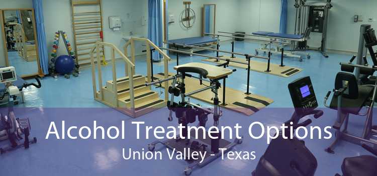 Alcohol Treatment Options Union Valley - Texas