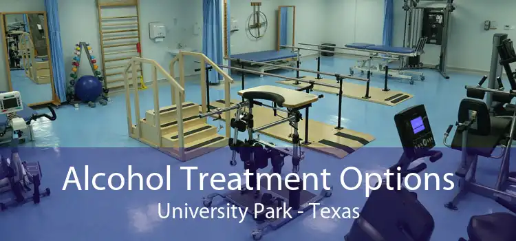 Alcohol Treatment Options University Park - Texas