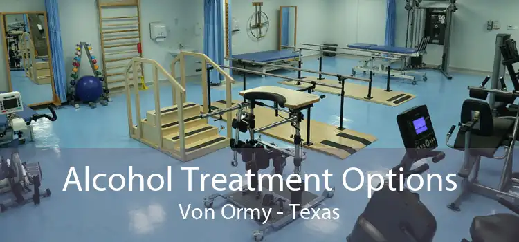 Alcohol Treatment Options Von Ormy - Texas