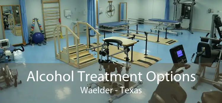 Alcohol Treatment Options Waelder - Texas
