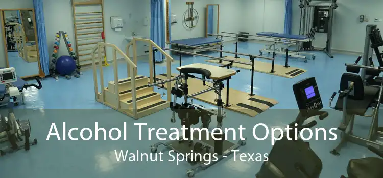 Alcohol Treatment Options Walnut Springs - Texas