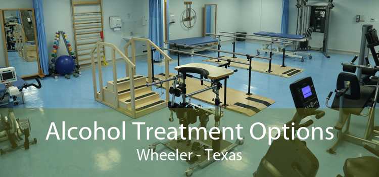 Alcohol Treatment Options Wheeler - Texas