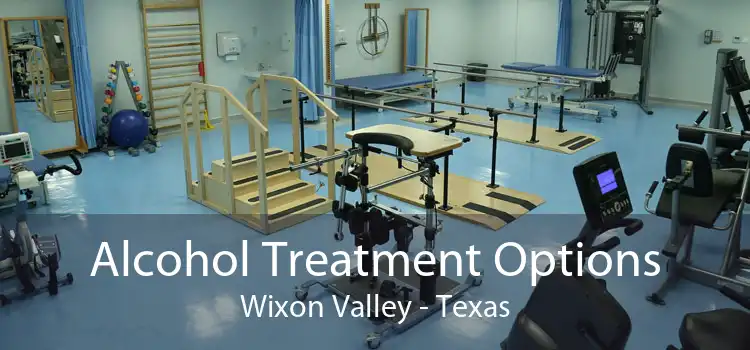 Alcohol Treatment Options Wixon Valley - Texas