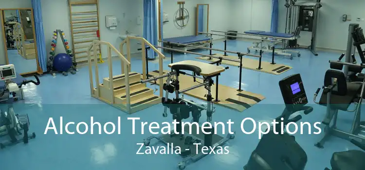 Alcohol Treatment Options Zavalla - Texas