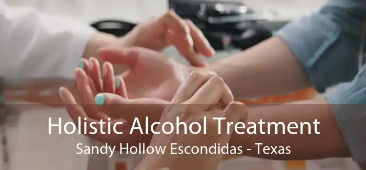 Holistic Alcohol Treatment Sandy Hollow Escondidas - Texas
